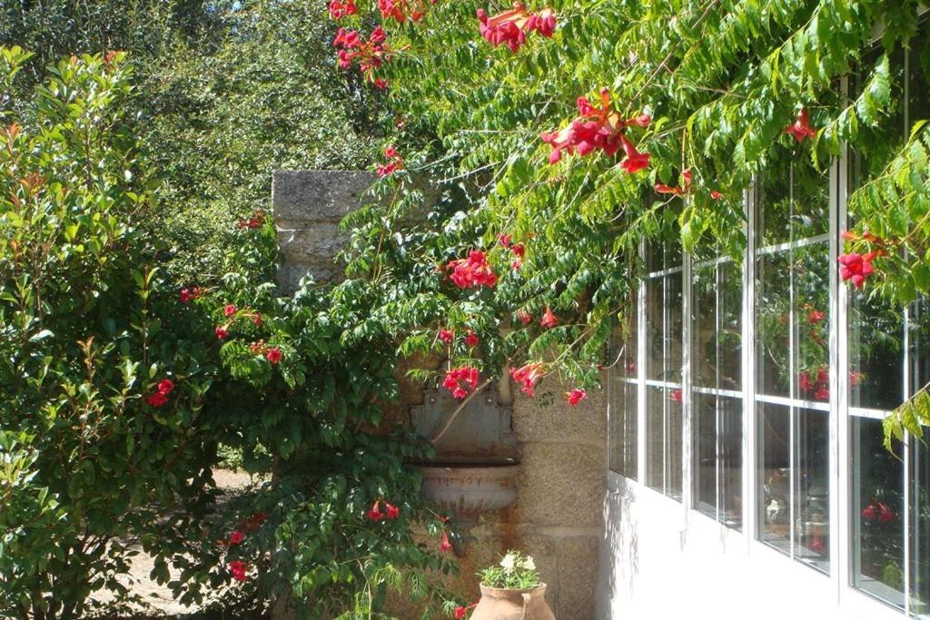 Vila Finca A Coutada. Celanova Exteriér fotografie