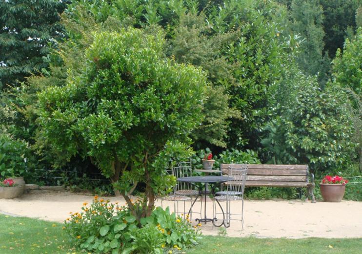 Vila Finca A Coutada. Celanova Exteriér fotografie
