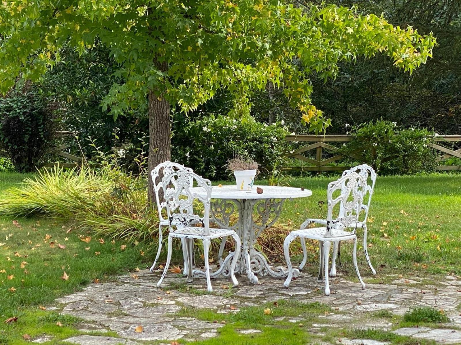 Vila Finca A Coutada. Celanova Exteriér fotografie