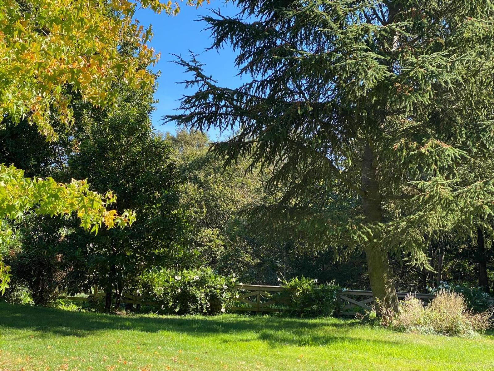 Vila Finca A Coutada. Celanova Exteriér fotografie